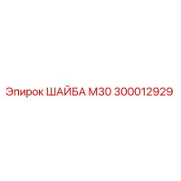 300012929 ШАЙБА М30 Epiroc