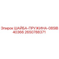 2650788371 ШАЙБА-ПРУЖИНА-08SIB40366 Эпирок