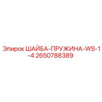 2650788389 ШАЙБА-ПРУЖИНА-WS-1-4 Эпирок