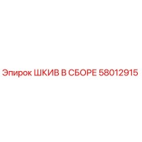 58012915 ШКИВ В СБОРЕ (Epiroc)