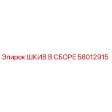 58012915 ШКИВ В СБОРЕ (Epiroc)