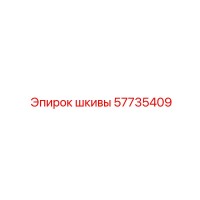 57735409 ШКИВЫ Epiroc
