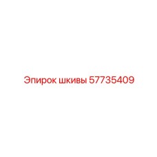 57735409 ШКИВЫ Epiroc
