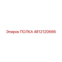 4812120666 ПОЛКА Epiroc