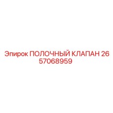2657068959 ПОЛОЧНЫЙ КЛАПАН | Epiroc
