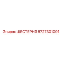 5727301091 ШЕСТЕРНЯ Epiroc