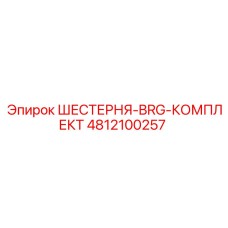 4812100257 ШЕСТЕРНЯ-BRG-КОМПЛЕКТ Epiroc