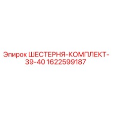 1622599187 ШЕСТЕРНЯ-КОМПЛЕКТ-39-40 Epiroc