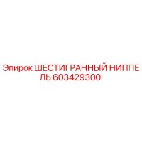 603429300 ШЕСТИГРАННЫЙ НИППЕЛЬ Epiroc