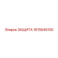 1615645100 ЗАЩИТА Epiroc