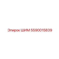 5590015839 ШИМ Epiroc
