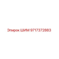 9717372883 ШИМ Epiroc
