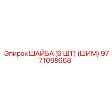 9771098668 ШАЙБА (6 ШТ) (ШИМ) Epiroc