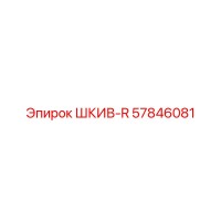 57846081 ШКИВ-R Epiroc