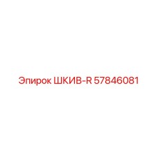 57846081 ШКИВ-R Epiroc