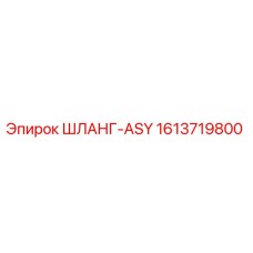 1613719800 ШЛАНГ-ASY Epiroc