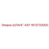 1613733000 ШЛАНГ-ASY Epiroc