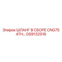 GS9132516 ШЛАНГ В СБОРЕ CNG75 4TH линии Epiroc