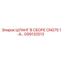 GS9132513 ШЛАНГ В СБОРЕ CNG75 1-й линии Epiroc