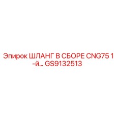 GS9132513 ШЛАНГ В СБОРЕ CNG75 1-й линии Epiroc