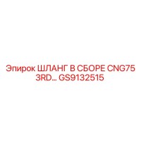 GS9132515 ШЛАНГ В СБОРЕ CNG75 3RD линии Epiroc