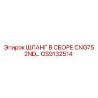 GS9132514 ШЛАНГ В СБОРЕ CNG75 2ND линии Epiroc