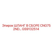 GS9132514 ШЛАНГ В СБОРЕ CNG75 2ND линии Epiroc