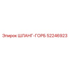 52246923 ШЛАНГ-ГОРБ - Epiroc