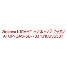 1310035381 ШЛАНГ-НИЖНИЙ-РАДИАТОР-QAS-58-78J Epiroc