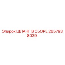 2657938029 ШЛАНГ В СБОРЕ Эпирок