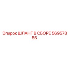 56957855 ШЛАНГ В СБОРЕ Epiroc