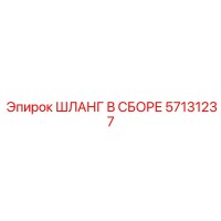 57131237 ШЛАНГ В СБОРЕ Epiroc