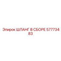 57773483 ШЛАНГ В СБОРЕ Epiroc