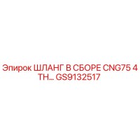 GS9132517 ШЛАНГ В СБОРЕ CNG75 4TH Epiroc