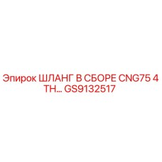 GS9132517 ШЛАНГ В СБОРЕ CNG75 4TH Epiroc