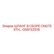 GS9132518 ШЛАНГ В СБОРЕ CNG75 4TH Epiroc
