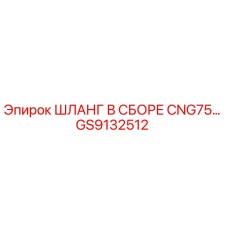 GS9132512 ШЛАНГ В СБОРЕ CNG75 Epiroc