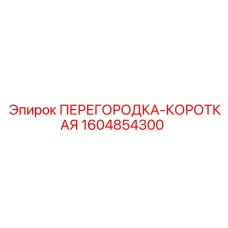 1604854300 ПЕРЕГОРОДКА-КОРОТКАЯ Epiroc