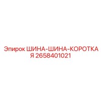 2658401021 ШИНА-ШИНА-КОРОТКАЯ Epiroc