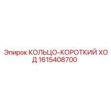 1615408700 КОЛЬЦО-КОРОТКИЙ ХОД Epiroc