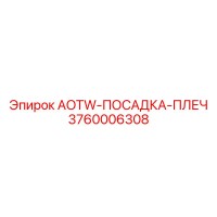 3760006308 AOTW-ПОСАДКА-ПЛЕЧ Epiroc