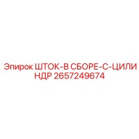 2657249674 ШТОК-В СБОРЕ-C-ЦИЛИНДР Epiroc