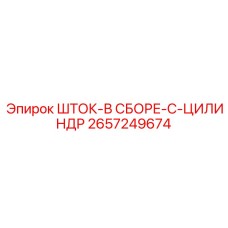 Узел штока и цилиндра Epiroc артикул 2657249674