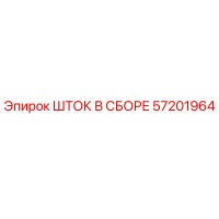 57201964 ШТОК В СБОРЕ Epiroc