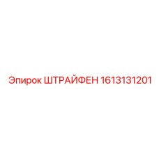 1613131201 ШТРАЙФЕН Epiroc
