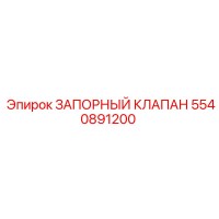 5540891200 ЗАПОРНЫЙ КЛАПАН Epiroc