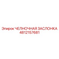 4812157681 ЧЕЛНОЧНАЯ ЗАСЛОНКА Epiroc