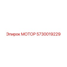 5730019229 МОТОР Эпирок