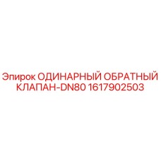 1617902503 ОДИНАРНЫЙ ОБРАТНЫЙ КЛАПАН-DN80 Epiroc