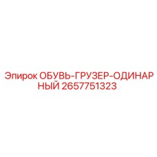 2657751323 ОБУВЬ-ГРУЗЕР-ОДИНАРНЫЙ Epiroc